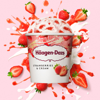 experience like no other